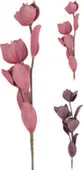 Ветка протейного растения с цветами, искусственная, высота 85 см, розовый и баклажановый, Koopman