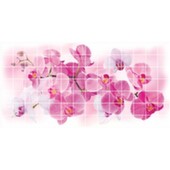 Панель ПВХ 955x480мм Орхидея Розея